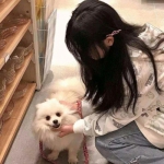 星空神途手游